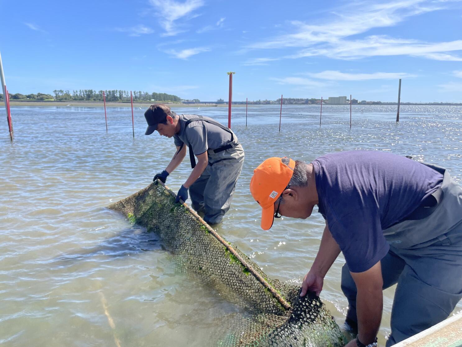 Sushi-loving Japan scrambles to save its fishing industry